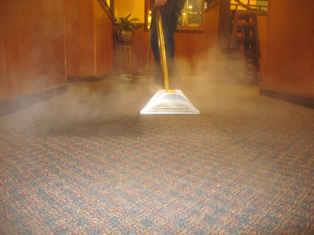 Learn how to professionally clean carpet with steam cleaning, encapsulation cleaning, bonnet cleaning and more